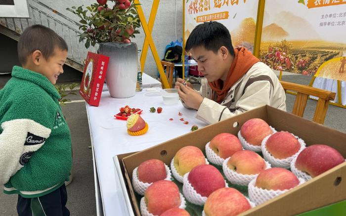 大明汇智苹果版苹果app价格一览表